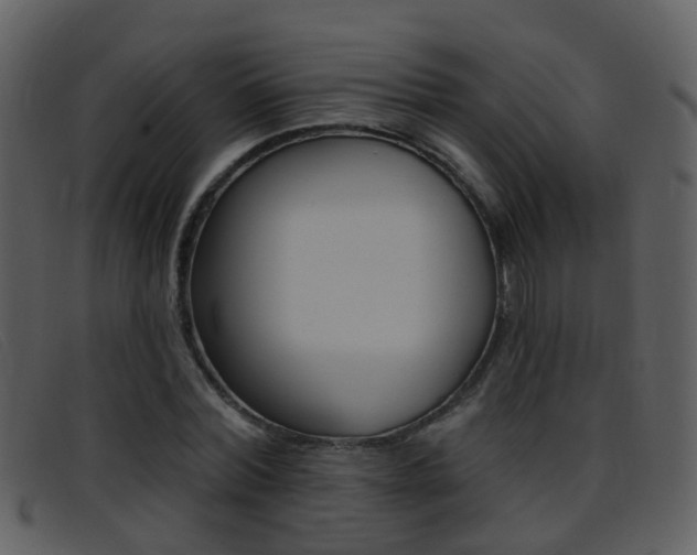 X0000096660780200802050955