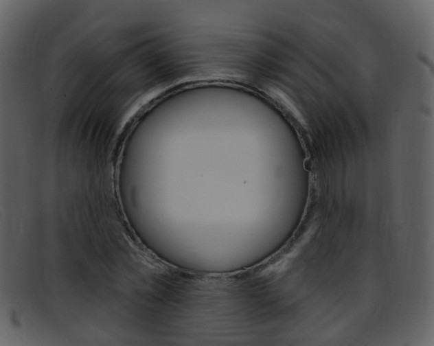 X0000096660781200802050955