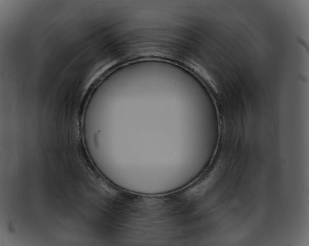 X0000096660782200802050955