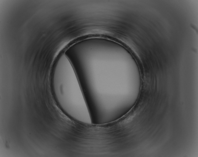 X0000096660783200802050955