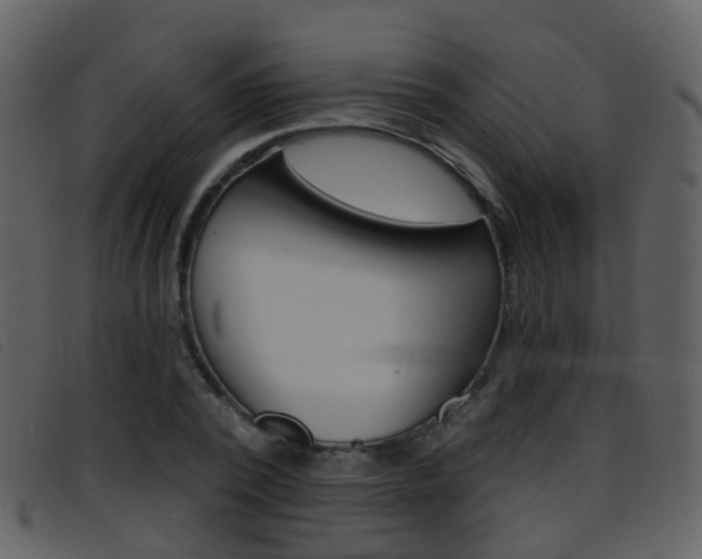 X0000096660784200802050955