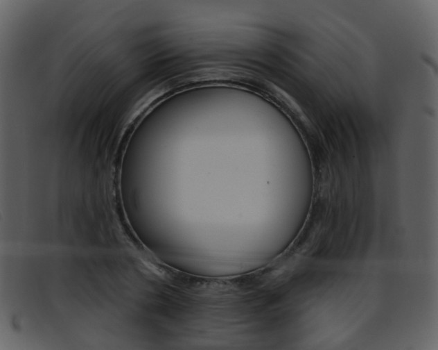 X0000096660786200802050955