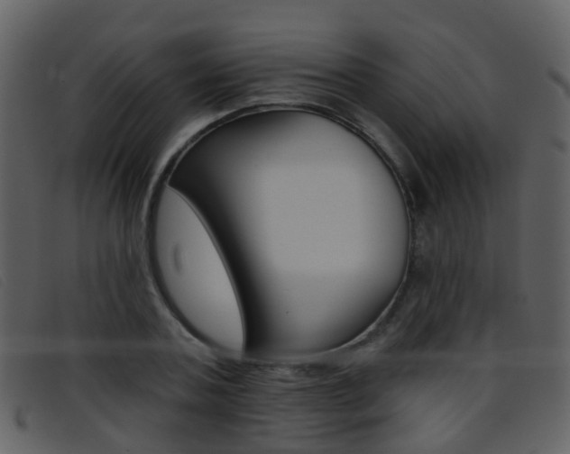 X0000096660787200802050955