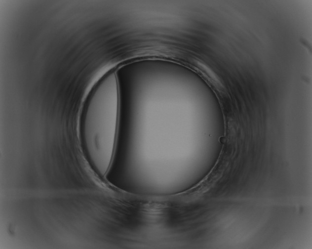 X0000096660788200802050955