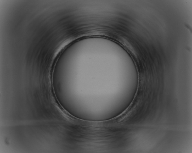 X0000096660789200802050955