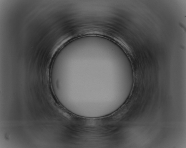 X0000096660790200802050955