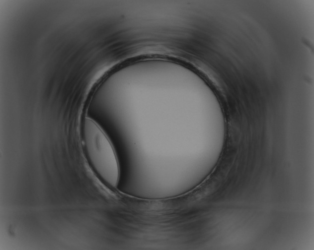 X0000096660791200802050955