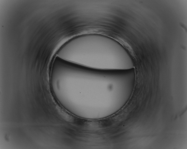 X0000096660792200802050955