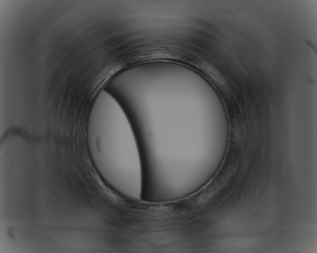 X0000096660793200802050955