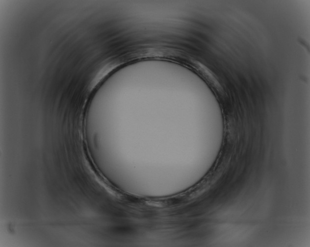 X0000096660794200802050955