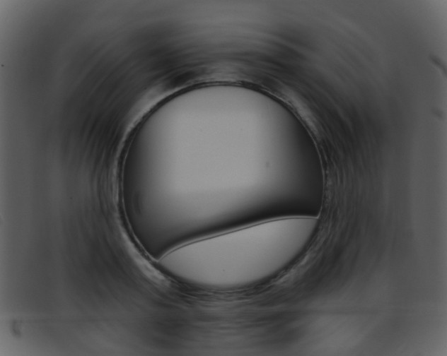 X0000096660795200802050955