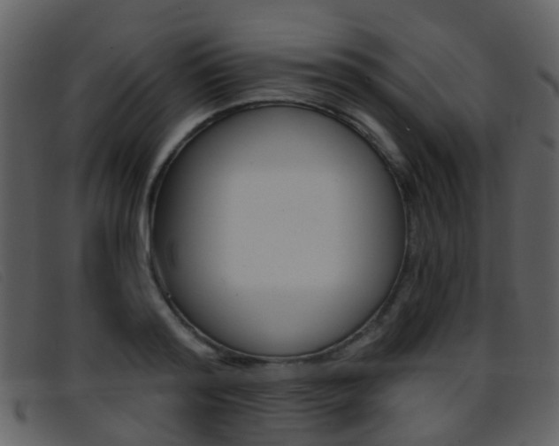 X0000096660796200802050955