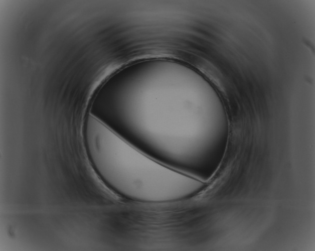 X0000096660797200802050955