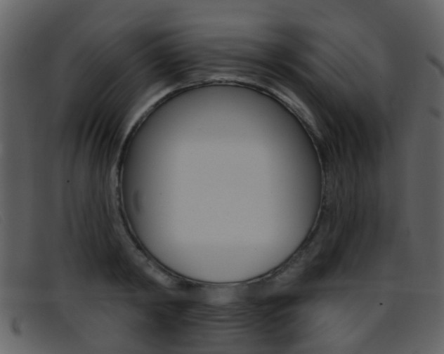 X0000096660798200802050955