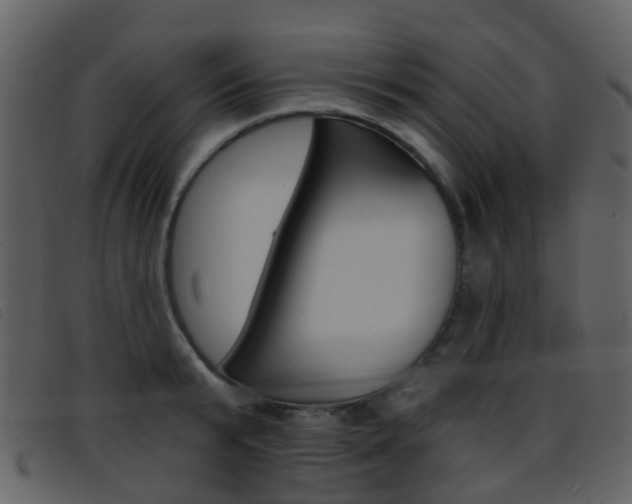 X0000096660799200802050955