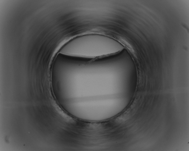 X0000096660800200802050955