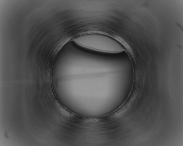 X0000096660801200802050955