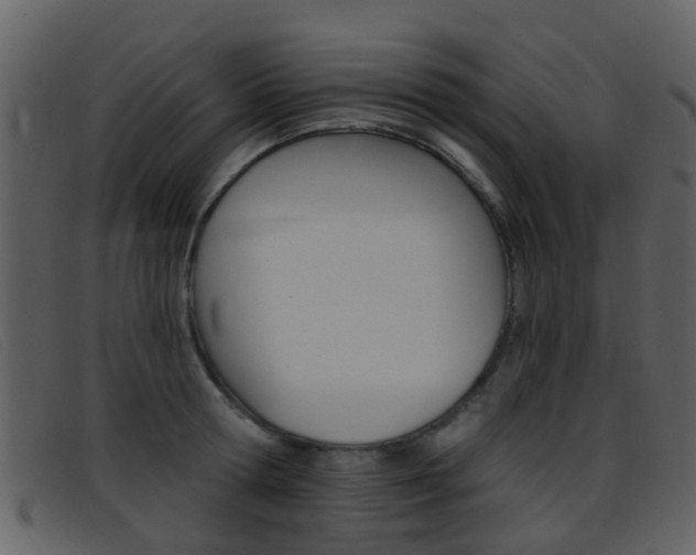 X0000096660802200802050955