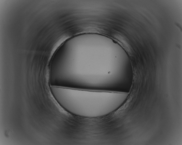 X0000096660804200802050955