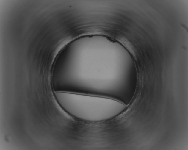 X0000096660805200802050955