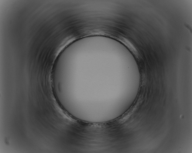 X0000096660806200802050955
