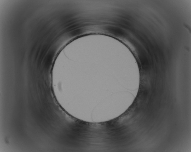 X0000096660807200802050955