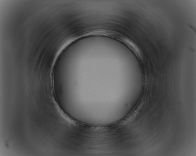 X0000096660808200802050955