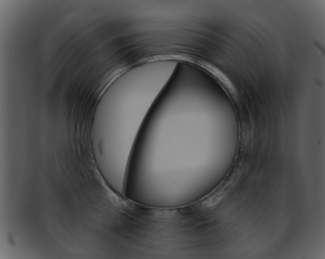 X0000096660809200802050955