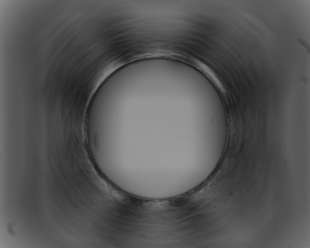 X0000096660810200802050955