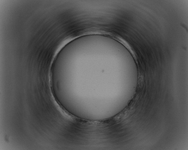 X0000096660811200802050955