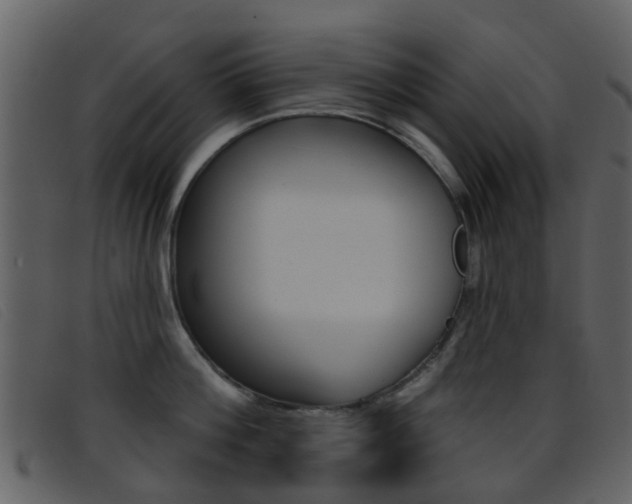 X0000096660812200802050955