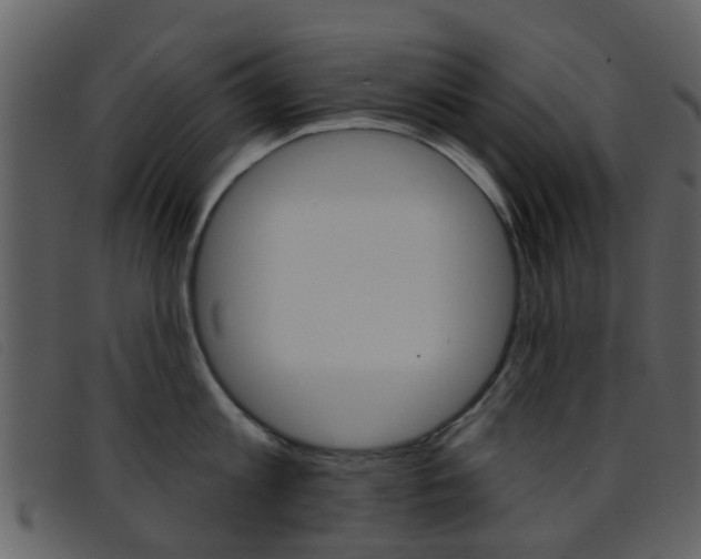 X0000096660813200802050955