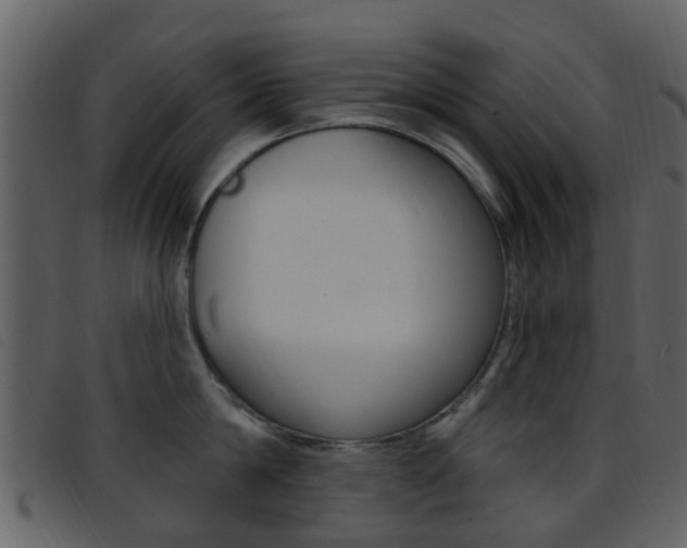 X0000096660814200802050955