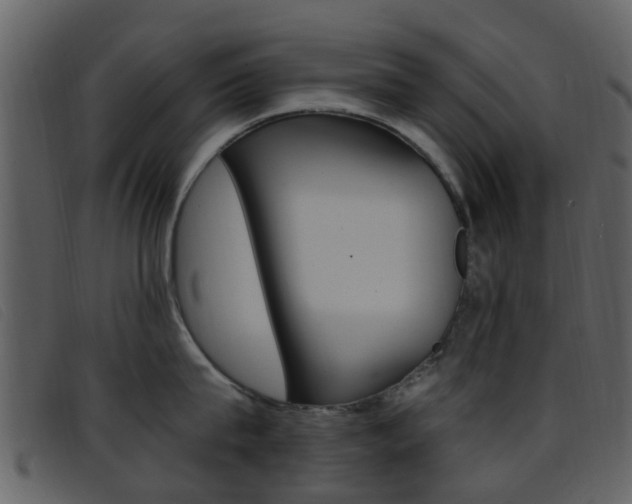 X0000096660815200802050955