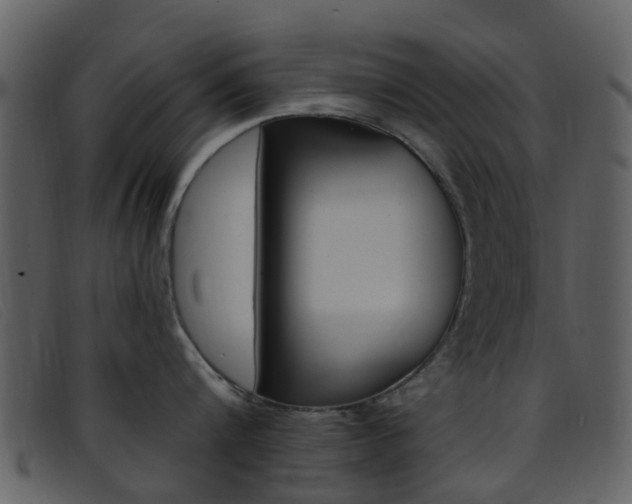 X0000096660816200802050955