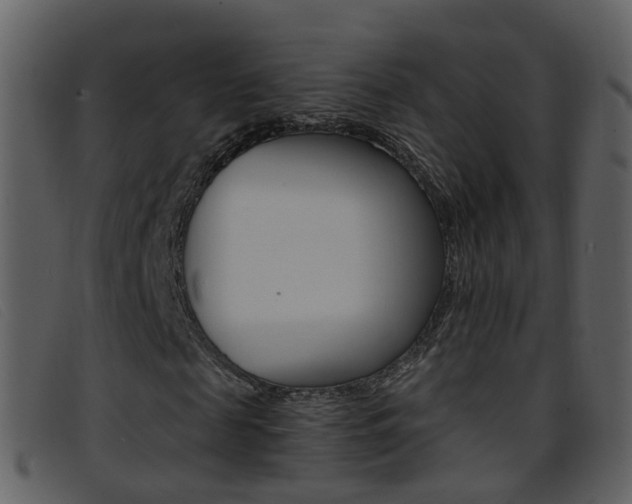 X0000096660817200802050954