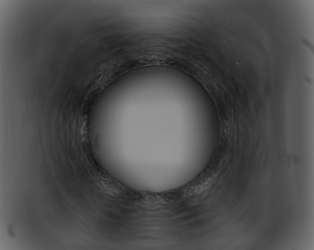 X0000096660818200802050954