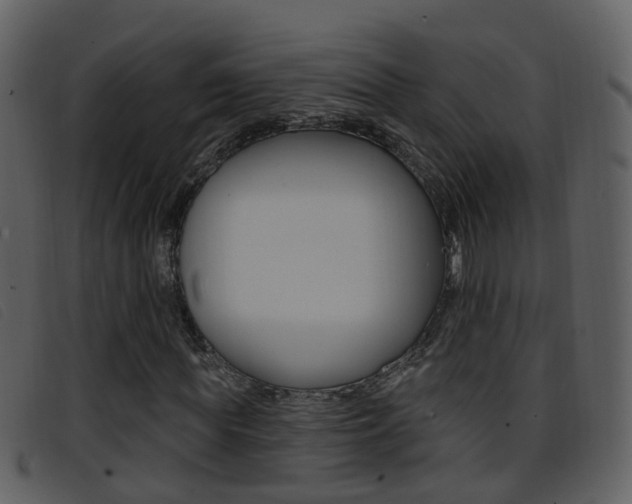 X0000096660819200802050954