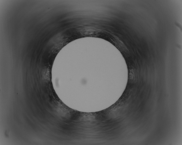 X0000096660820200802050954
