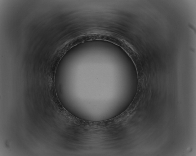 X0000096660821200802050954