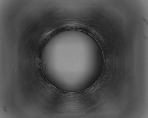 X0000096660822200802050954