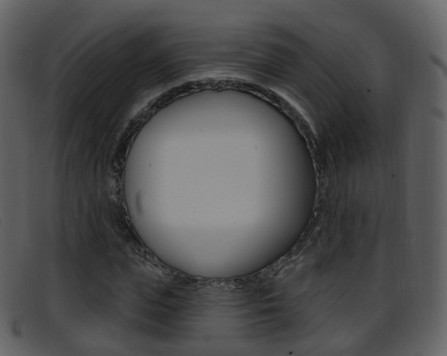 X0000096660823200802050954