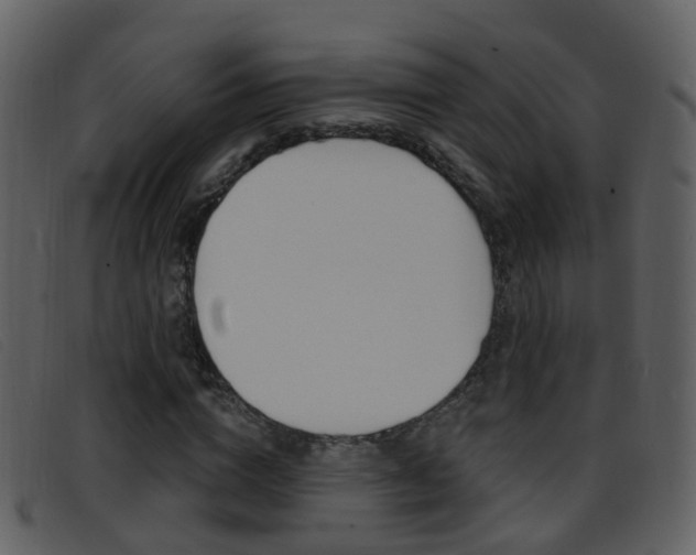 X0000096660824200802050954