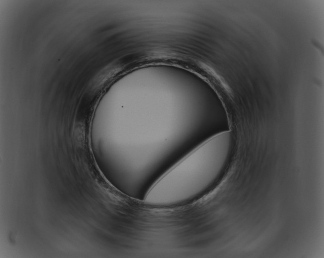 X0000096660825200802050954