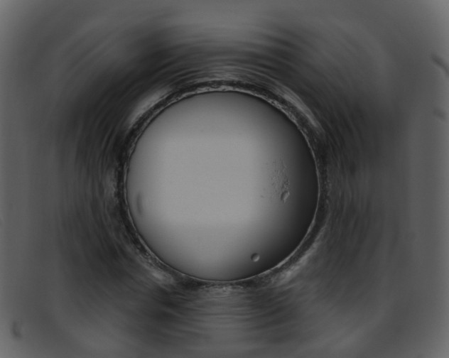 X0000096660826200802050954