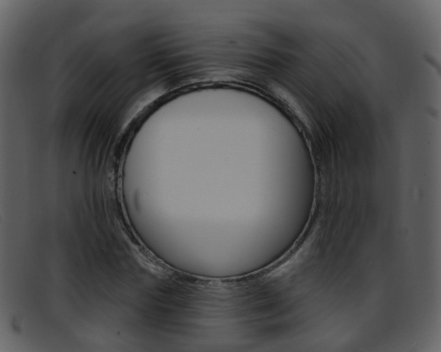 X0000096660827200802050954