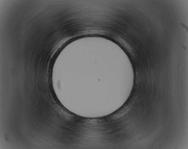 X0000096660828200802050954