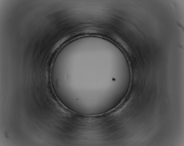 X0000096660829200802050954