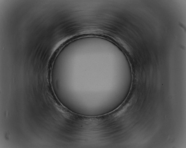 X0000096660830200802050954