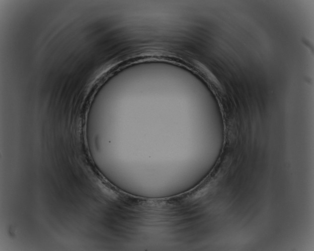 X0000096660831200802050954